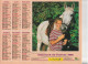 Calendrier-Almanach Des P.T.T 1995 -Fillette Et Labrador- Fillette Et Cheval Blanc-Département AIN-01-Référence 403 - Tamaño Grande : 1991-00