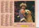 Calendrier-Almanach Des P.T.T 1995 -Fillette Et Labrador- Fillette Et Cheval Blanc-Département AIN-01-Référence 403 - Tamaño Grande : 1991-00