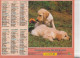 Calendrier-Almanach Des P.T.T 1995 -Berger Allemand- Jeunes Labradors -Département AIN-01-Référence 405 - Grand Format : 1991-00