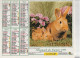 Calendrier-Almanach Des P.T.T 1995 -Lapins - Fillette Et Chiots -Département AIN-01-Référence 404 - Formato Grande : 1991-00