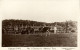 Curacao, D.W.I., Ostriches On Albertina Farm (1920s) Capriles No 1 RPPC Postcard - Curaçao