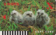 Rare Carte Prépayée JAPON  - Animal - OISEAU  - HIBOU - OWL BIRD JAPAN Prepaid Copy Card - 5829 - Eulenvögel