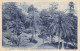 FRANCE - Grasse - Le Jardin Public - Au Premier Plan - Buste Fragonard - Carte Postale Ancienne - Grasse