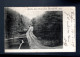 CPA - Etats-Unis - Springfield, Massachussetts - Meadow Road, Forest Park - 1904 - Springfield