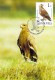 HONGRIE Magyar WWF CARTE MAXIMUM NUM.YVERT 2864 PROTECTION DE LA NATURE OISEAU AIGLE - Maximum Cards