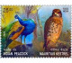 Delcampe - India 2023 Complete Year Collection Of 74v Commemorative Stamps / Year Pack MNH - Annate Complete