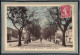 CPA (34) MONTAGNAC - Thème: ARBRE - Les Platanes De La Promenade Basse En 1939 - Carte Colorisée - Montagnac