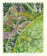 USA 2010 MiNr. 4641 Etats-Unis Hawaiian Rain Forest #12 Plants, Insects Hawaiian Happy-face Spider ** 1.00 € - Ragni