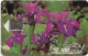 Andorra - STA - STA-0008 - Flowers, Pyrenean Iris, Cn.39531, 12.1992, SC5, 100U, 20.000ex, Used - Andorra