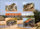 NIGER 2023 STATIONERY CARD - FROGS FROG TOAD TOADS GRENOUILLE GRENOUILLES - AMPHIBIANS AMPHIBIENS - Grenouilles