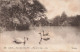 FRANCE - Lyon - Parc De La Tête D'or - Vue Sur Le Lac - Carte Postale Ancienne - Sonstige & Ohne Zuordnung