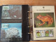 Delcampe - WWF - Two Albums With Various Fauna - Sammlungen (im Alben)