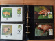 Delcampe - WWF - Two Albums With Various Fauna - Sammlungen (im Alben)