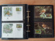 Delcampe - WWF - Two Albums With Various Fauna - Sammlungen (im Alben)