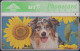 UK Btc 134 Spring In The Air (2) - Dog & Sunflowers - 50 Units - 523A - BT Allgemeine