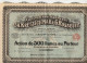 VP22.894 - CHALON - SUR - SAONE 1928 - Action De 500 Francs - Anciens Etablissements Ch. KRETZSCHMAR & G. ROSSELET - Textil