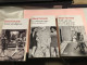 Delcampe - ELENA FERRANTE ** L'AMIE PRODIGIEUSE** 3 Volumes :tomes 1/2/3 - Paquete De Libros