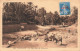 ALGERIE - Touggourt - Un Oued Dans La Palmeraie - Animé  - Carte Postale Ancienne - Autres & Non Classés