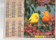 CALENDRIER ANNEE 1995, COMPLET, OISEAUX REF 13763 - Grand Format : 1991-00