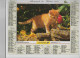 CALENDRIER ANNEE 1998, COMPLET, CHATON ET OISEAU , CHATON ET FLEURS  REF 13766 - Grossformat : 1991-00