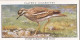 Wild Birds 1932 - Original Players Cigarette Card - 9 Stone Curlew & Eggs - Player's