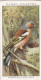 Wild Birds 1932 - Original Players Cigarette Card - 4 Chaffinch & Nest - Player's