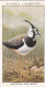 Wild Birds 1932 - Original Players Cigarette Card - 20 Lapwing & Eggs - Player's