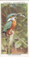 Wild Birds 1932 - Original Players Cigarette Card - 18 Kingfisher - Player's