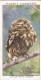 Wild Birds 1932 - Original Players Cigarette Card - 28 Little Owl, Asleep - Player's