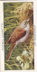 Wild Birds 1932 - Original Players Cigarette Card - 47 Whitethroat - Player's