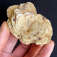 #SC13.03 'rose' De BARYTE Cristaux (Sand Pit, Rockenberg, Wetteraukreis, Darmstadt, Hesse, Allemagne) - Minéraux