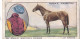 Prominent Race Horses Of 1933 - Ogdens Cigarette Card - 19 "Jim Thomas" - Ogden's