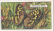 Butterflies & Moths 1938 - Gallaher Cigarette Card - 37 Speckled Wood - Ogden's