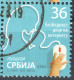 Computer PC MOUSE - CHILDREN INTERNET SAFETY - Informatics Computer Science  - Used - 2019 + 2022 + 2023 Edition Serbia - Computers