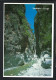 GRECE  Ca.1995:  CP  De CRETE  Pour LUZERN (Suisse) - Lettres & Documents