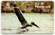 Antigua & Barbuda - Brown Pelican - With RED Chip - Antigua Et Barbuda