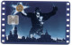 King  Kong Carte STAR PASS Cinéma  Card  (R 877) - Movie Cards