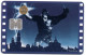 King  Kong Carte STAR PASS Cinéma  Card  (R 877) - Cinécartes