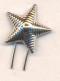 Armenia. Star On Shoulder Straps. - Divise