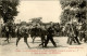 14 CAEN - FETE FEDERALE DE GYMNASTIQUE - JOURNEE U 14 JUILLET 1913 - REVUE DES TROUPES - LES MITRAILLEUSES - Caen