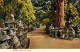 Japon- Lot De 8 Cartes Kasuga-Taisha  Sanctuaire Shinto De La Ville De Nara * SUP * Cf.scans - Hiroshima