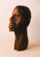 EXTRAORDINARIO BUSTO DE HOMBRE TALLADO EN MADERA. ARTE TRIBAL - Afrikaanse Kunst