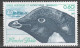 Timbre Des TAAF N°87 Neuf ** - Albatros