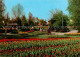 73868526 Viernheim Tulpenschau Im Tivoli Park Viernheim - Viernheim