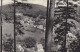 AK 193460 GERMANY - Bad Grund / Oberharz - Blick Von Knollen - Bad Grund