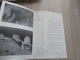 Delcampe - Guide En Anglais Department Of Interior Texte Photos Carte Maps Vers 1920/1930 The Mesa Verde National Park 20p - 1900-1949