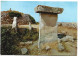 TAULA Y " TALALLOT DE TREPUCÓ ".- MAHON - MENORCA.- ILLES BALEARS - Dolmen & Menhirs