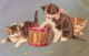 ANIMAUX - Chats - Chatons Avec Un Tambour - Carte Postale Ancienne - Cats