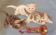 ANIMAUX - Chats - Chatons Avec Une Trompette - Carte Postale Ancienne - Cats