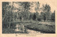 BELGIQUE - Rixensart - Genval Les Eaux - Parc Ornithologique - Massif De Bouleaux - Carte Postale Ancienne - Rixensart